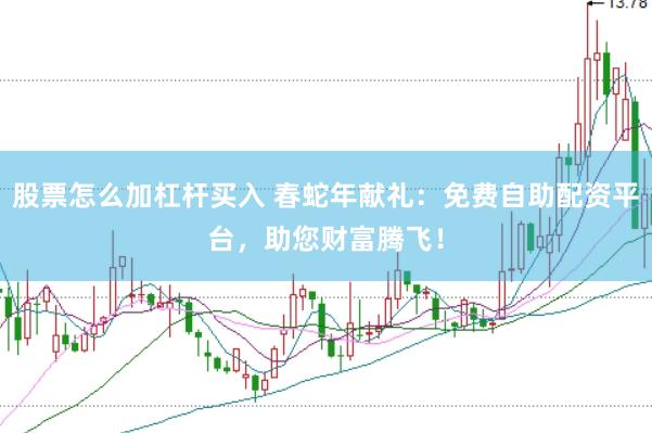 股票怎么加杠杆买入 春蛇年献礼：免费自助配资平台，助您财富腾飞！