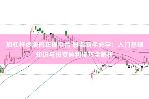 加杠杆炒股的正规平台 股票新手必学：入门基础知识与投资盈利技巧全解析