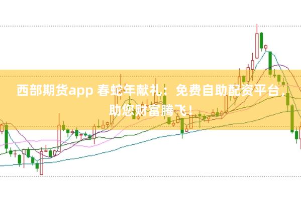 西部期货app 春蛇年献礼：免费自助配资平台，助您财富腾飞！