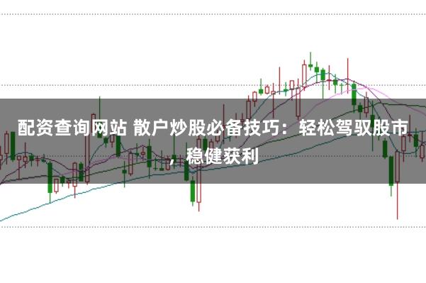 配资查询网站 散户炒股必备技巧：轻松驾驭股市，稳健获利