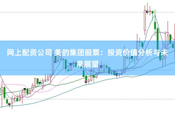 网上配资公司 美的集团股票：投资价值分析与未来展望