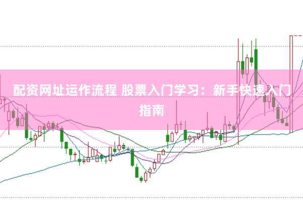 配资网址运作流程 股票入门学习：新手快速入门指南