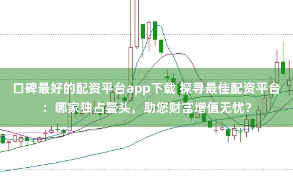 口碑最好的配资平台app下载 探寻最佳配资平台：哪家独占鳌头，助您财富增值无忧？