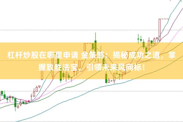 杠杆炒股在哪里申请 金策略：揭秘成功之道，掌握致胜法宝，引领未来风向标！