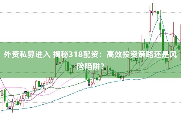 外资私募进入 揭秘318配资：高效投资策略还是风险陷阱？
