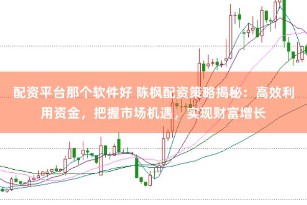 配资平台那个软件好 陈枫配资策略揭秘：高效利用资金，把握市场机遇，实现财富增长