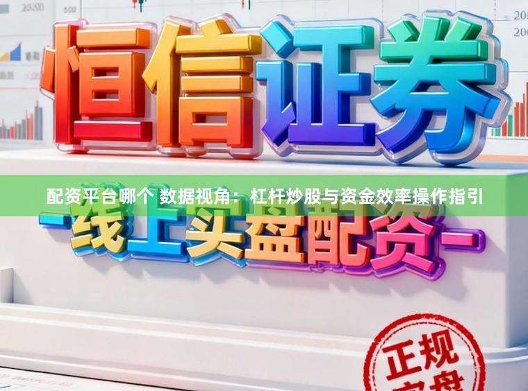 配资平台哪个 数据视角：杠杆炒股与资金效率操作指引